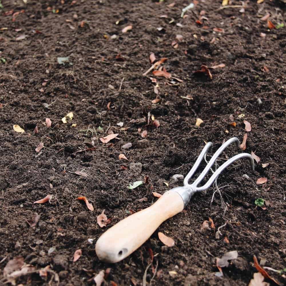 How to start a garden - sowing seeds | home for the harvest