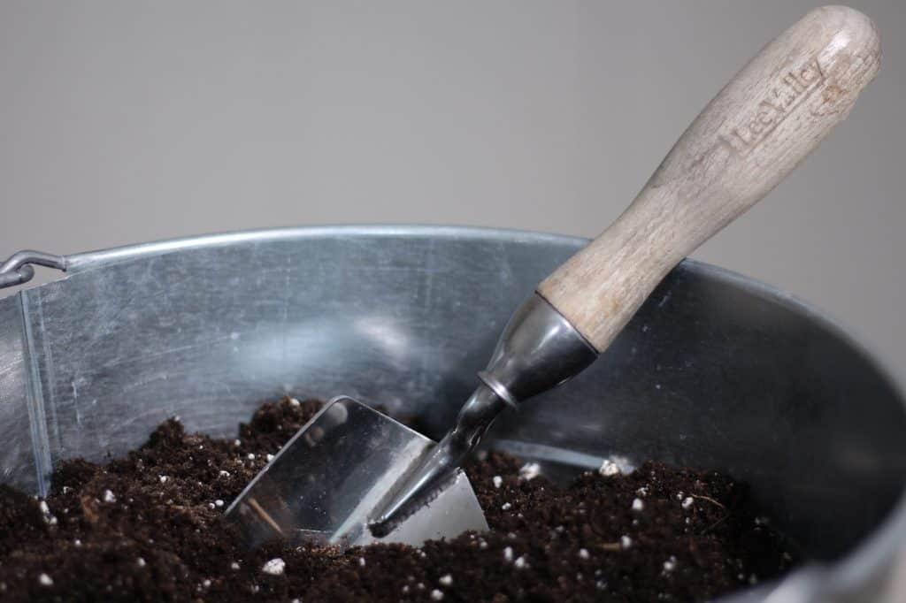 Seed-starting guide: how to grow seeds into plants | home for the harvest