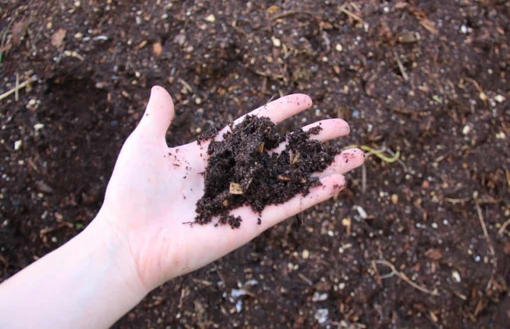 How to start a garden - feeding your plants with compost and organic fertilizers | home for the harvest