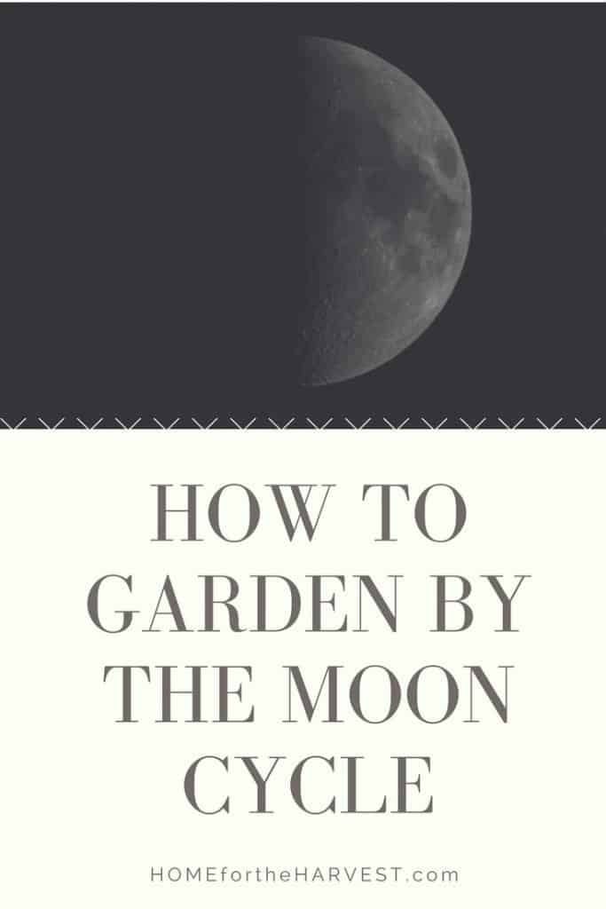 How to Garden by the Moon Cycle | Home for the Harvest