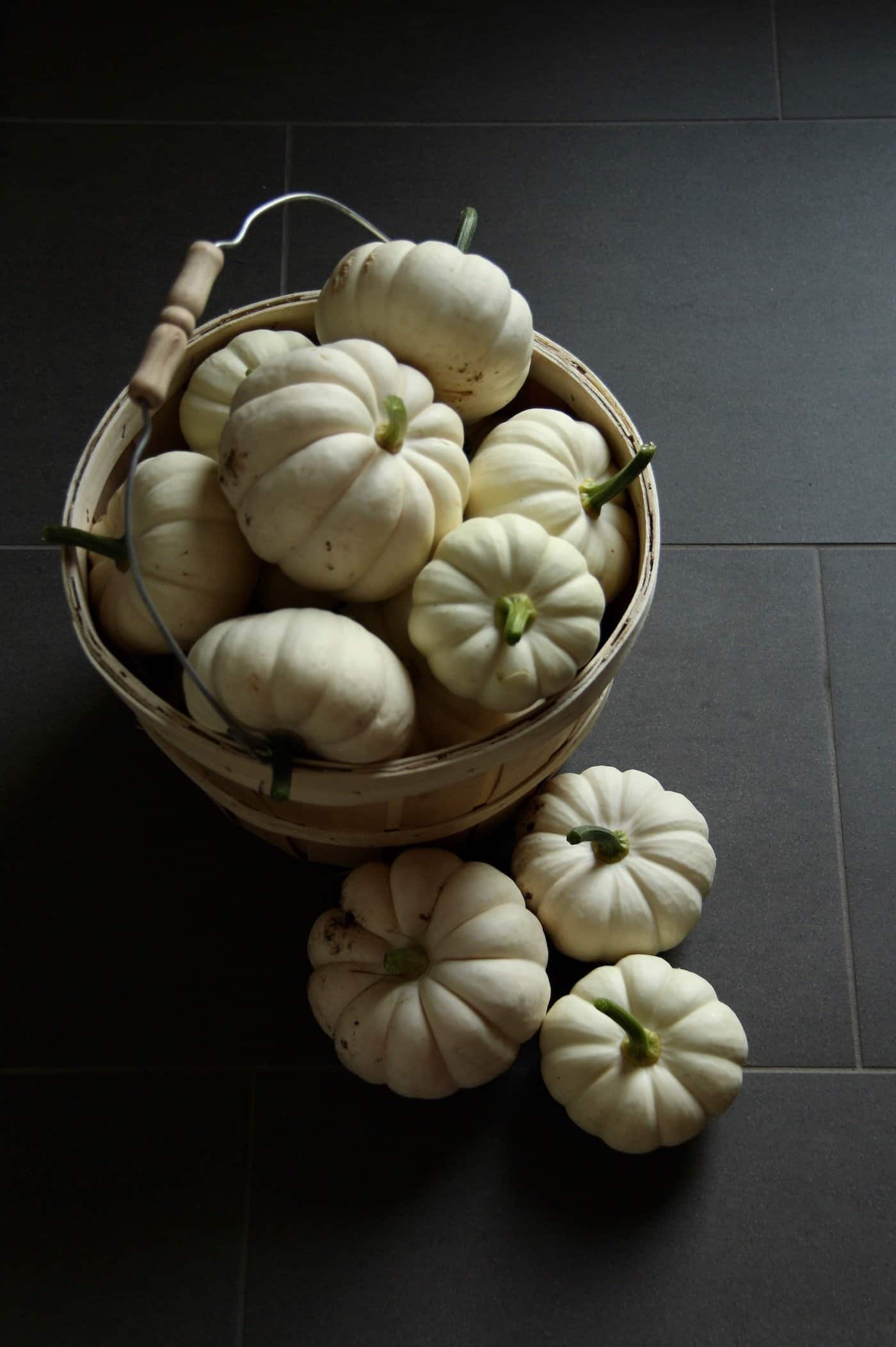Pumpkins are easy to grow with the right instructions! Here's how to grow organic pumpkins - everything you need to know | home for the harvest #pumpkin #pumpkins #organicpumpkin #organicpumpkins #growpumpkins #howtogrowpumpkins #organicgardening #homefortheharvest