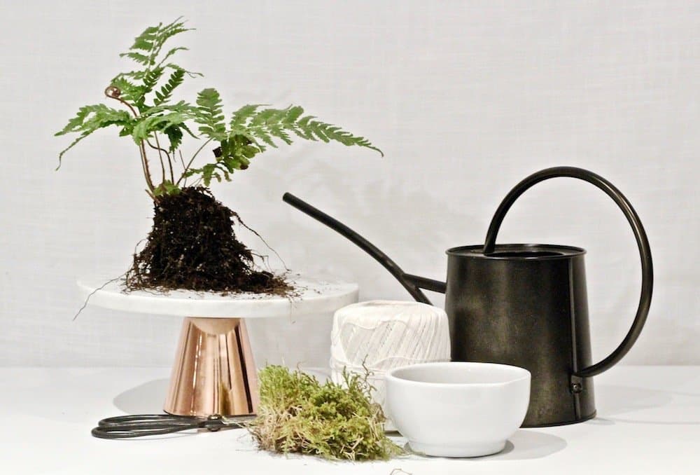 This ivy kokedama is actually super easy to make! String gardens and hanging moss balls can be made at home with this diy tutorial #mossgarden #kokedama #hangingplant #houseplants