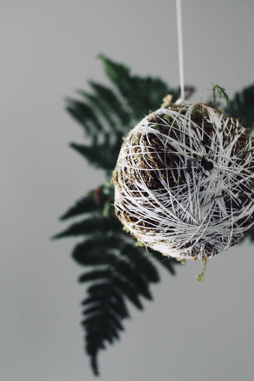 She wraps string around soil and moss to create an amazing hanging string garden! This moss ball is so gorgeous #kokedama #mossball #stringgarden #hanginggarden