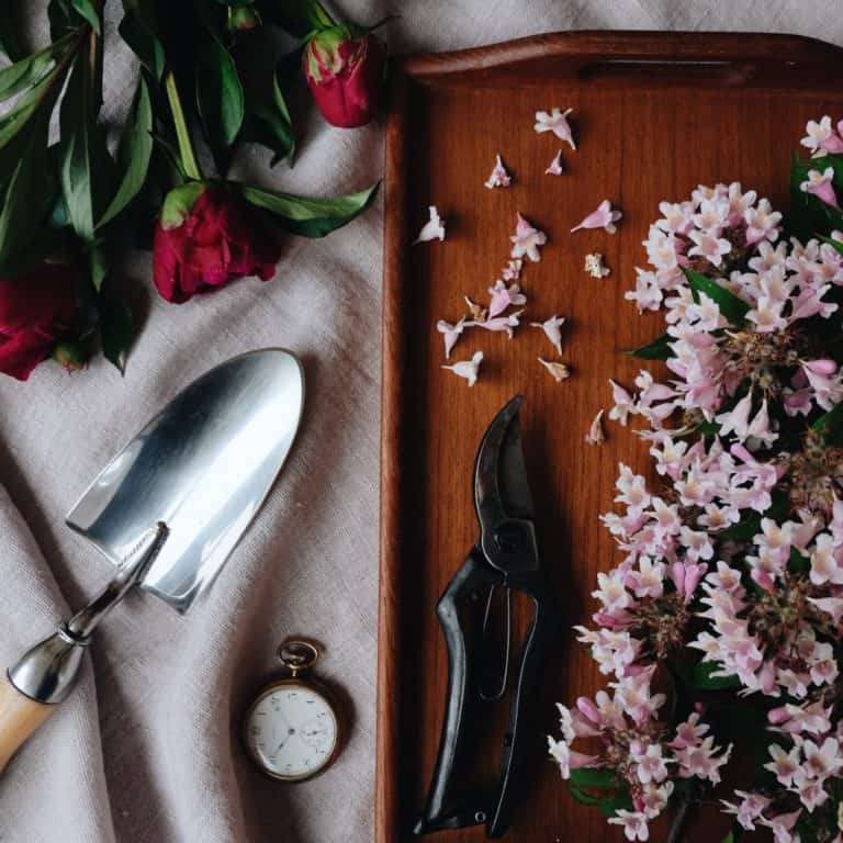 Gardening gifts including garden trowel and pruning shears with pink peonies and beauty bush blooms
