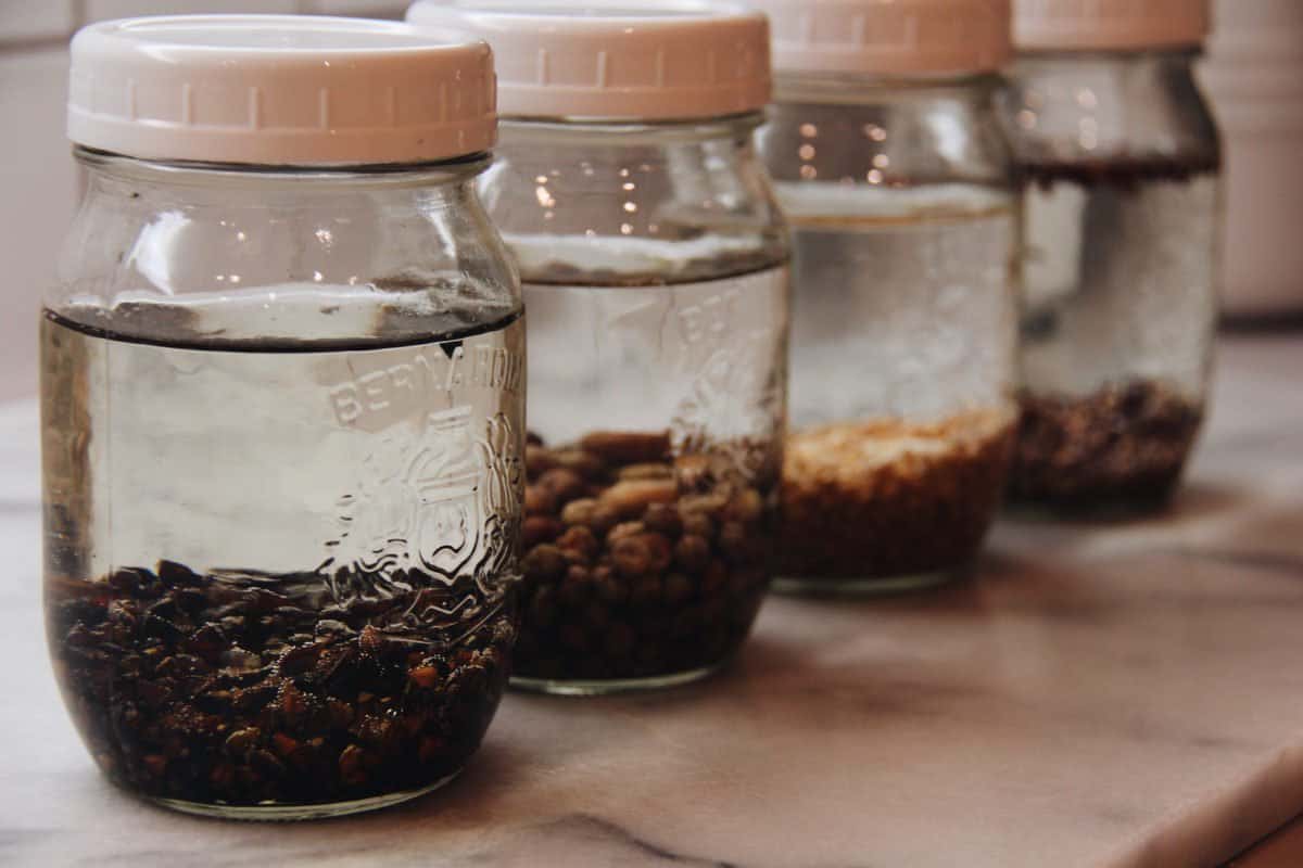 Buckwheat sprouts for a boost of nutrition 🌱💪 Uncover the benefits of this super sprout