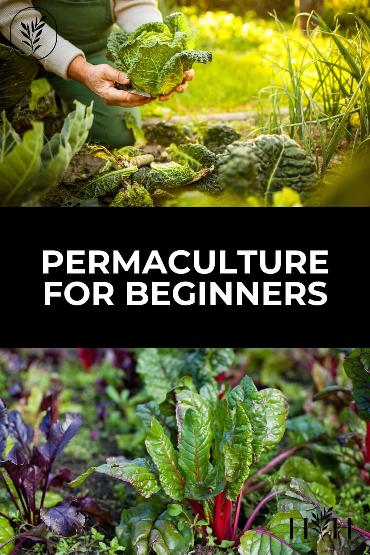 Permaculture for beginners via @home4theharvest