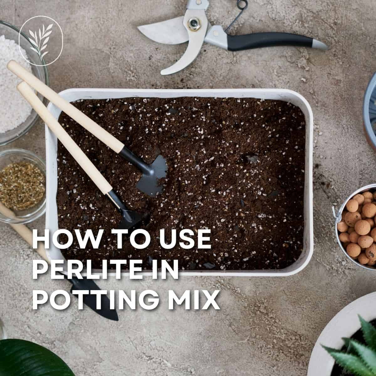 Quality potting soil is incredibly important for your container plants. There are many different pre-mixed options available, but you can often get the best mix by customizing your potting soil with perlite. Here's how to use perlite in potting mix for the best results in your garden. Via @home4theharvest
