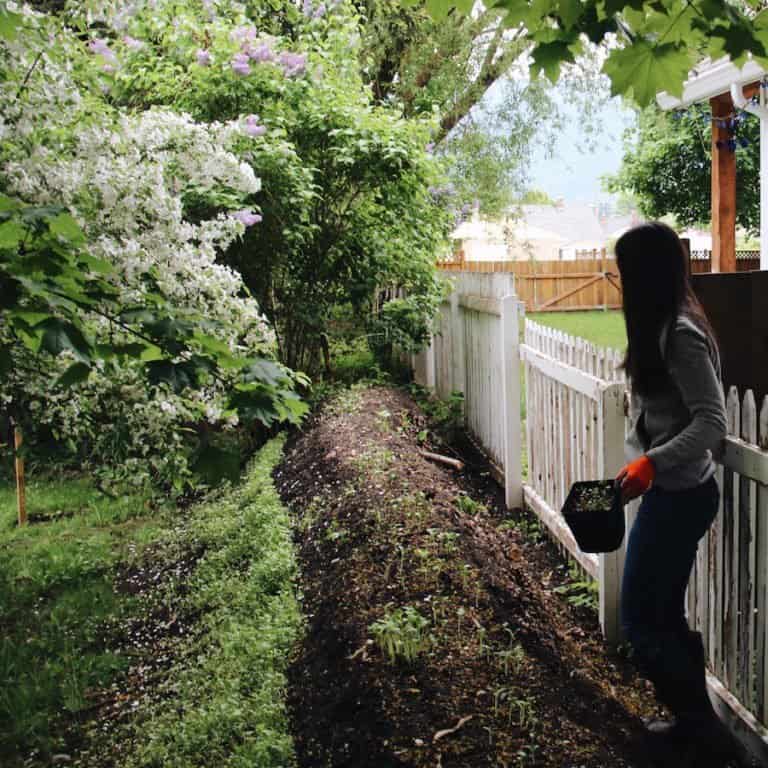 Diy urban hugelkultur raised garden bed | home for the harvest gardening blog