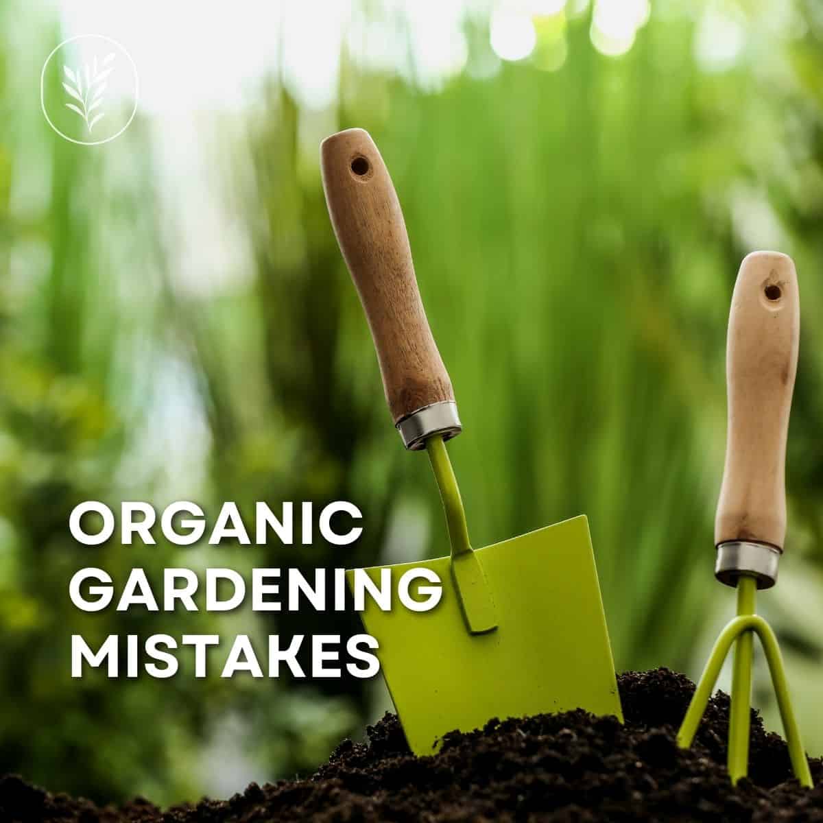 Wondering about organic gardening and trying not to make too many mistakes? There is something so wonderfully idyllic about a home garden. They definitely shouldn't conjure up images of scary chemicals. That being said, there are some really common ways that your little backyard organic garden can become contaminated. Here are the top 5 things to avoid in your organic garden. Via @home4theharvest