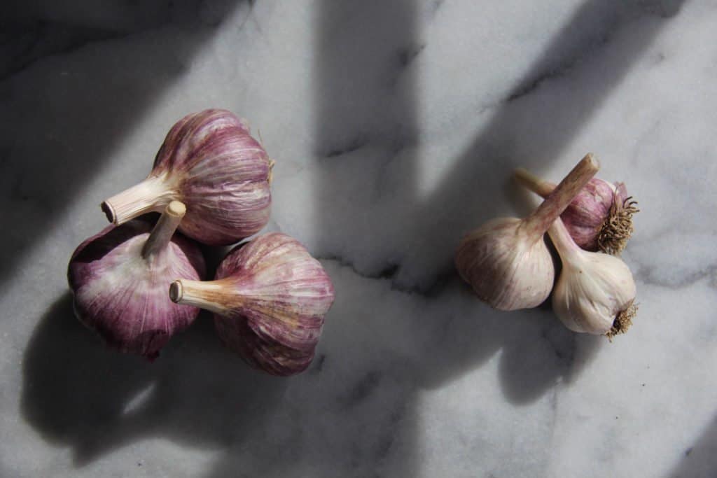 Different sizes of garlic | home for the harvest