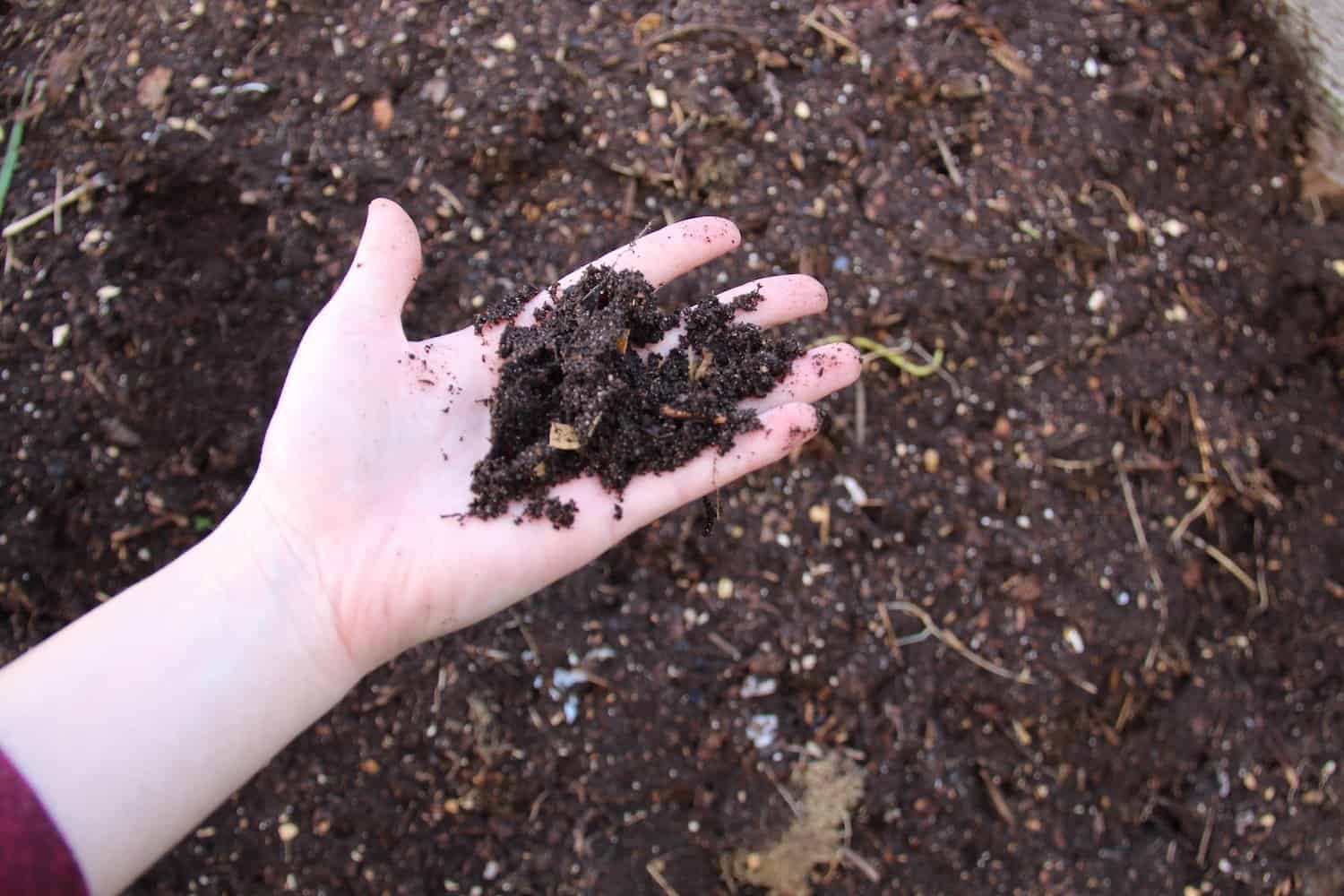 Leaf compost | home for the harvest blog