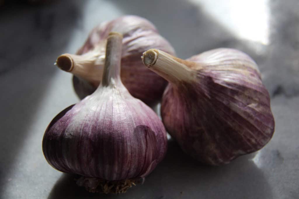 Organic garlic bulbs | home for the harvest