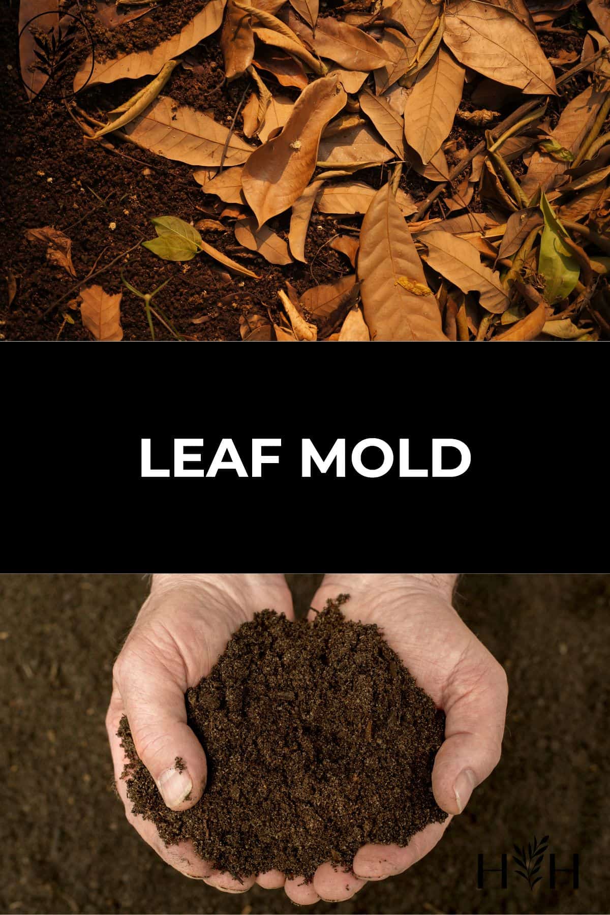 Leaf mold via @home4theharvest