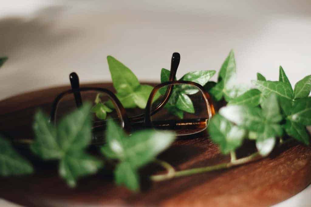 How To Find A Garden Mentor Connect With Experts