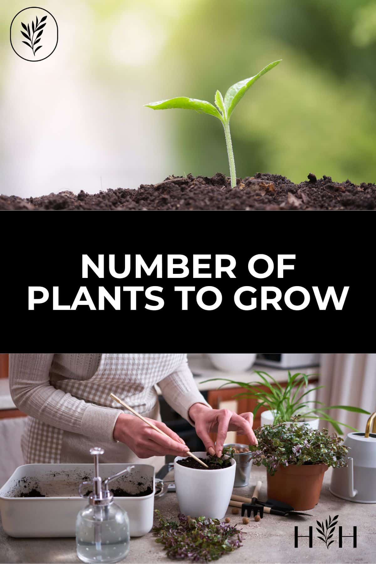 Number of plants to grow via @home4theharvest