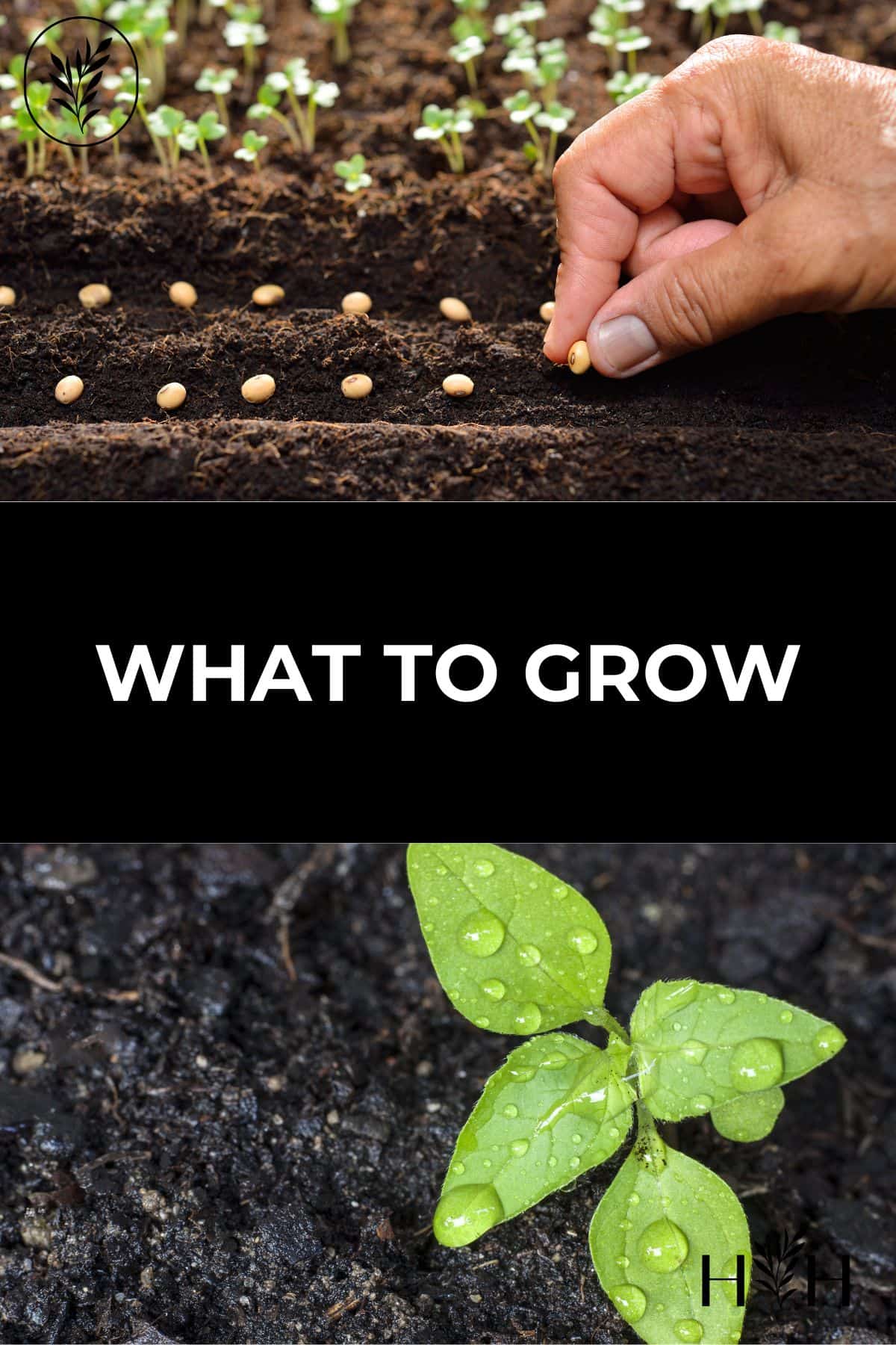 What to grow via @home4theharvest