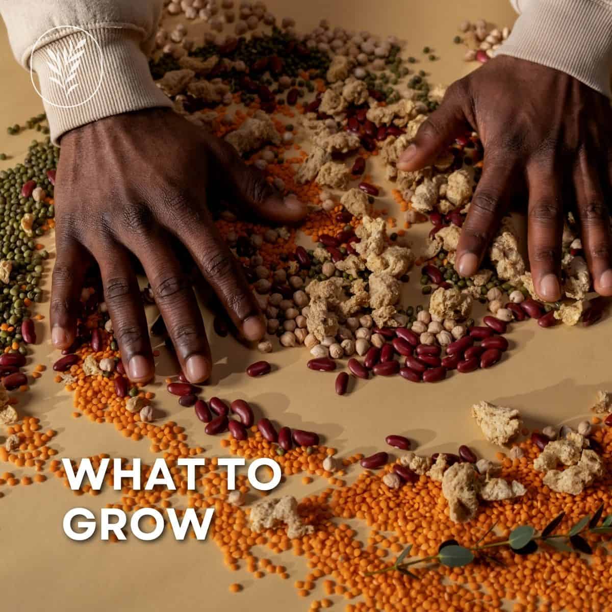 What to grow via @home4theharvest