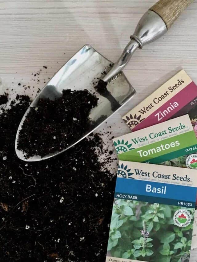 Seed packets and potting soil with garden trowel for seeds for sale