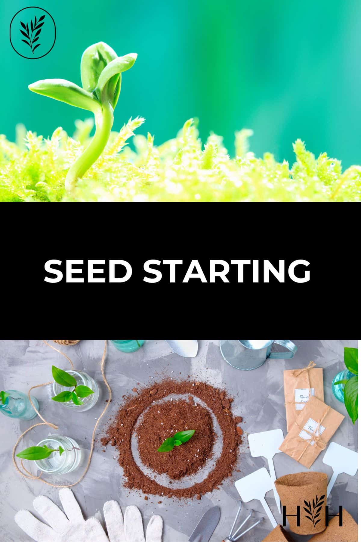 Seed starting via @home4theharvest