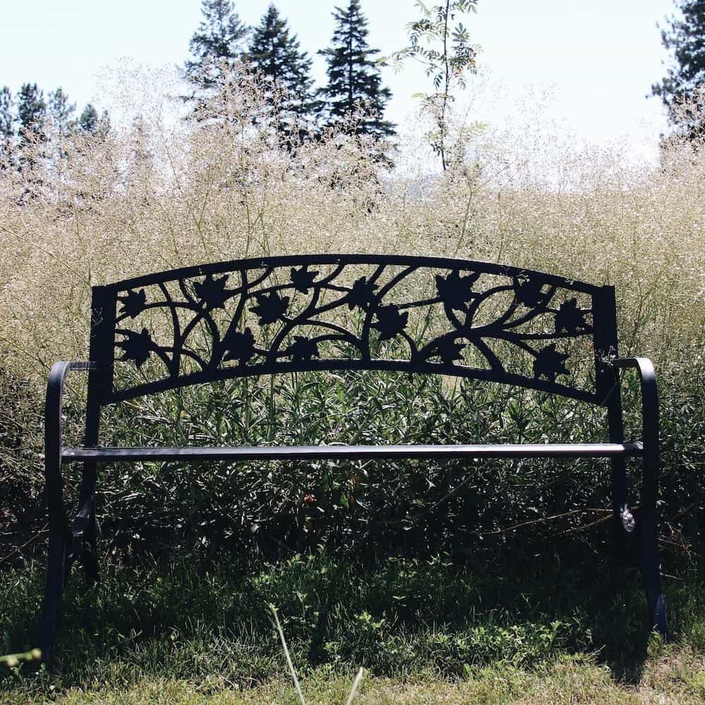 Black iron meditation garden bench surrounded by ethereal white baby's breath flowers
