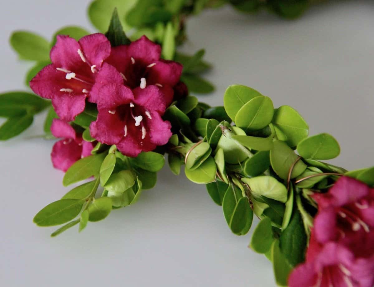 This tutorial shows how to make a flower crown with real flowers | home for the harvest
