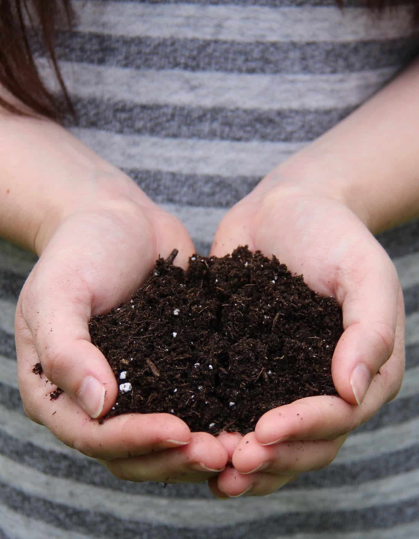 Types of soil for organic gardening explained | homefortheharvest #soiltypes #typesofsoil #organicgardening #gardening #healthysoil #learntogarden