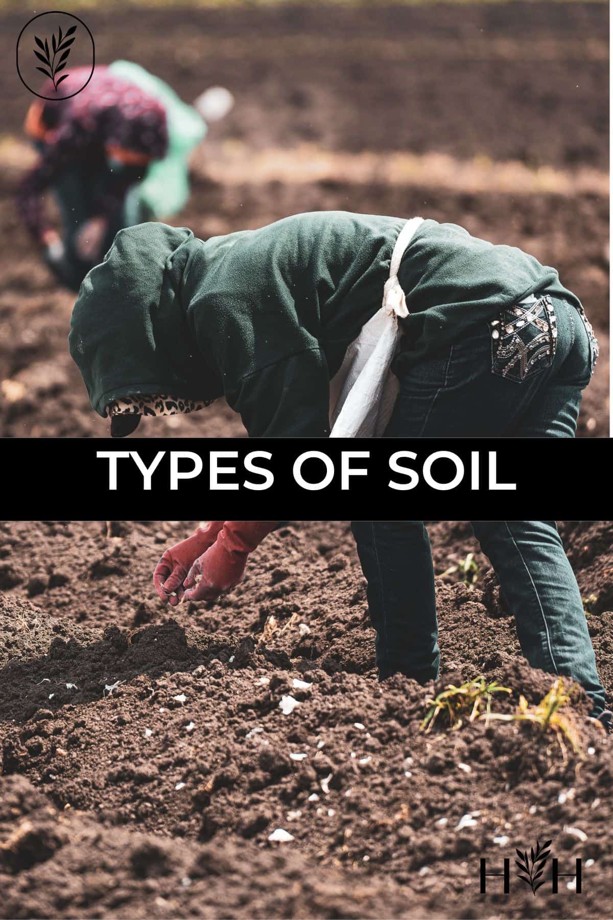 What types of soil are in your garden? If you've ever had your soil tested, read the ingredients on a potting soil bag, or tried to order bulk garden soil, chances are you've come across some of these terms for the different types of soil. Via @home4theharvest