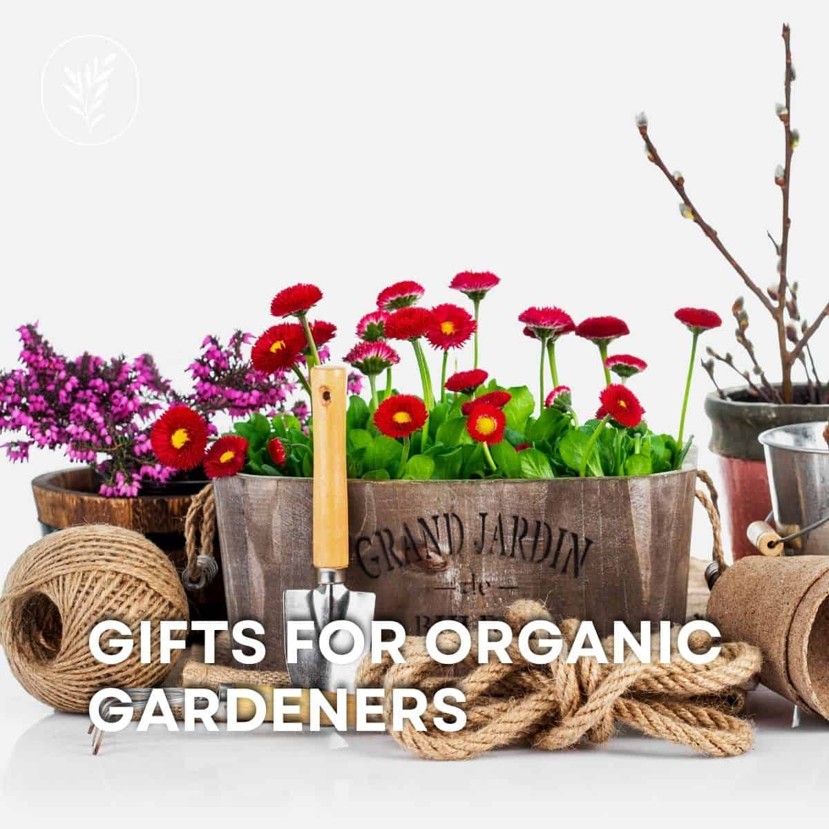 Gifts for organic gardeners via @home4theharvest