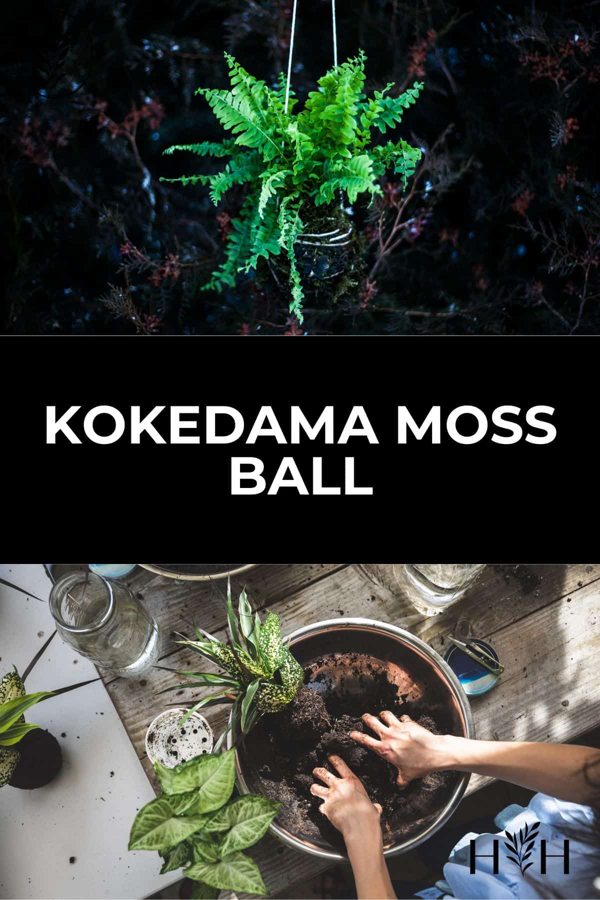 Kokedama moss ball via @home4theharvest