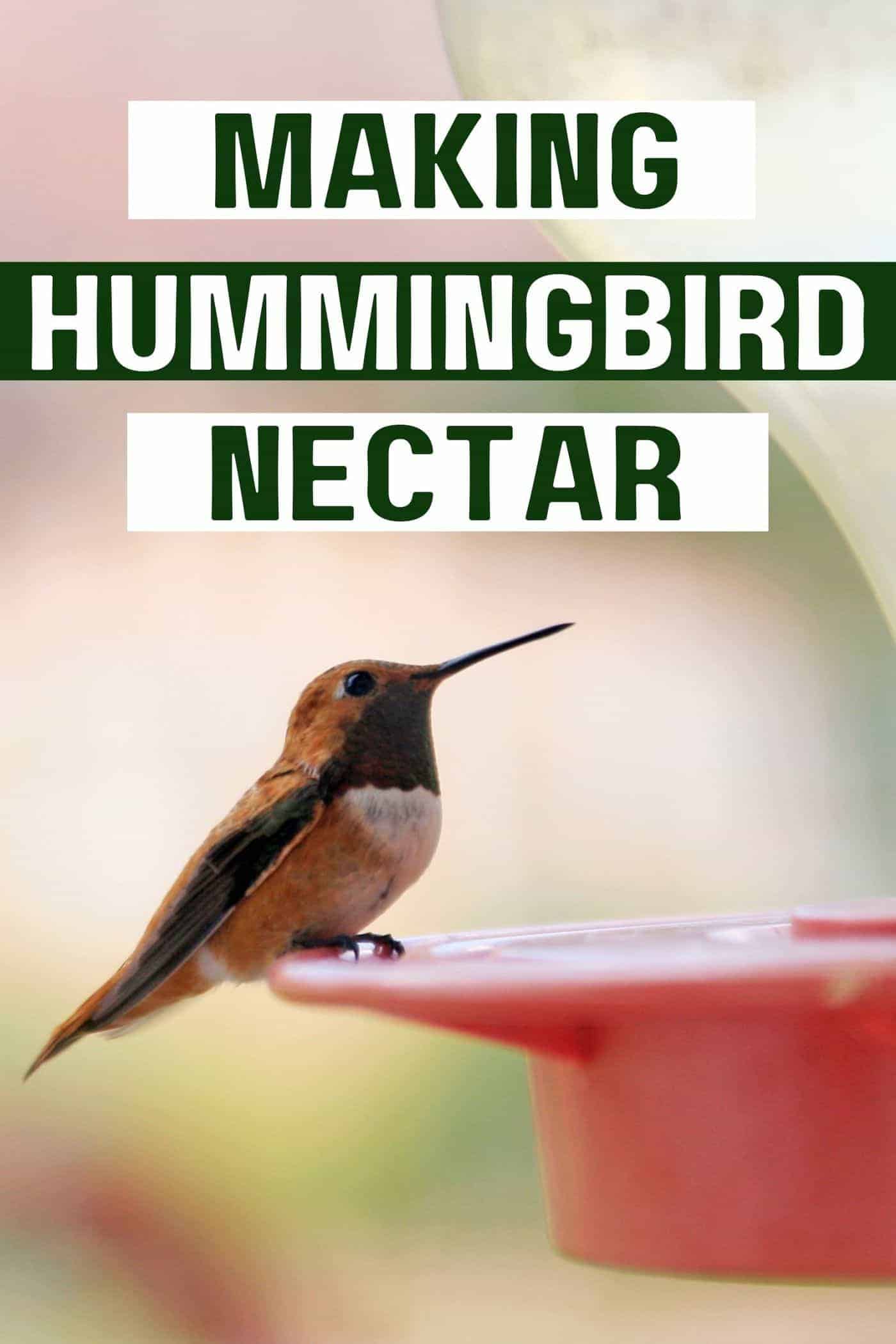 Hummingbird nectar recipe via @home4theharvest