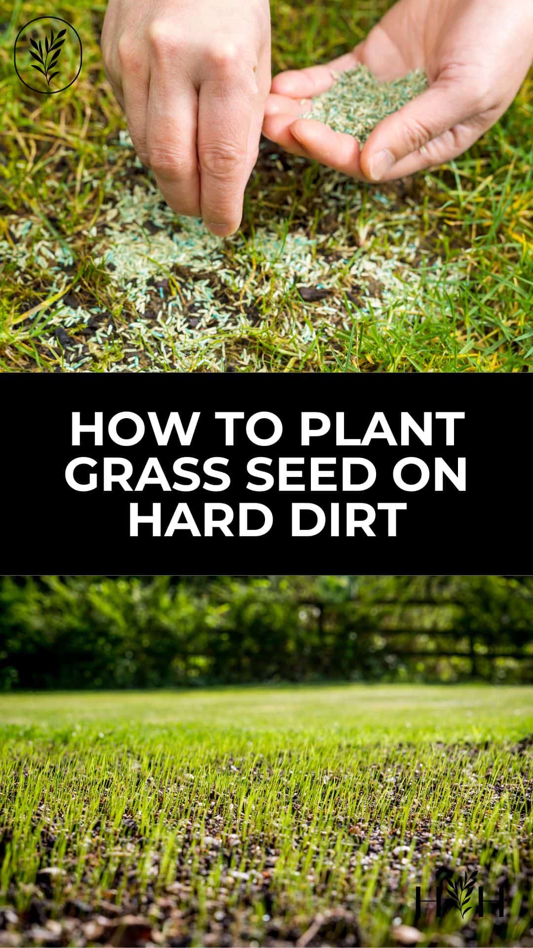 How to plant grass seed on hard dirt via @home4theharvest