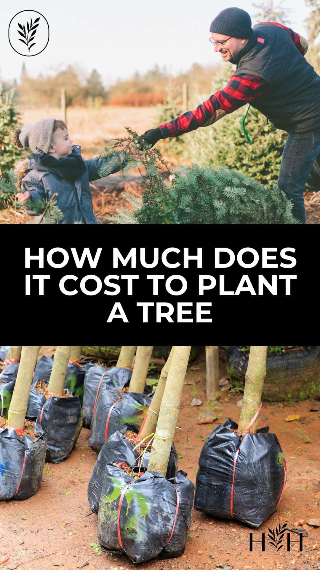 How much does it cost to plant a tree via @home4theharvest