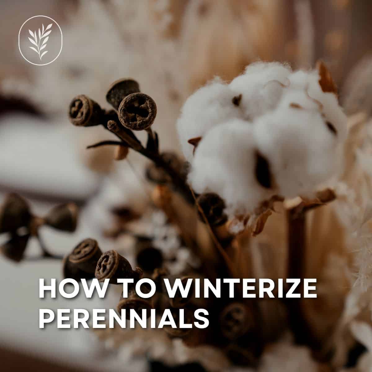 How to winterize perennials via @home4theharvest