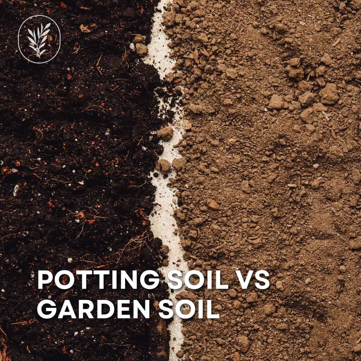 Potting soil vs garden soil via @home4theharvest