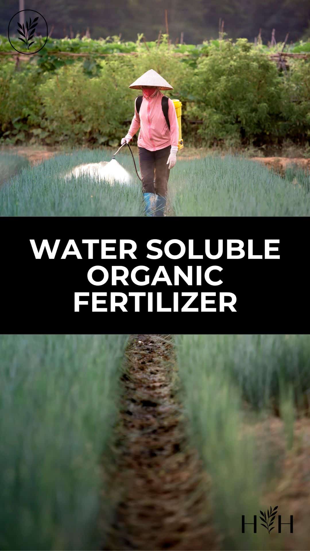Water soluble organic fertilizer via @home4theharvest