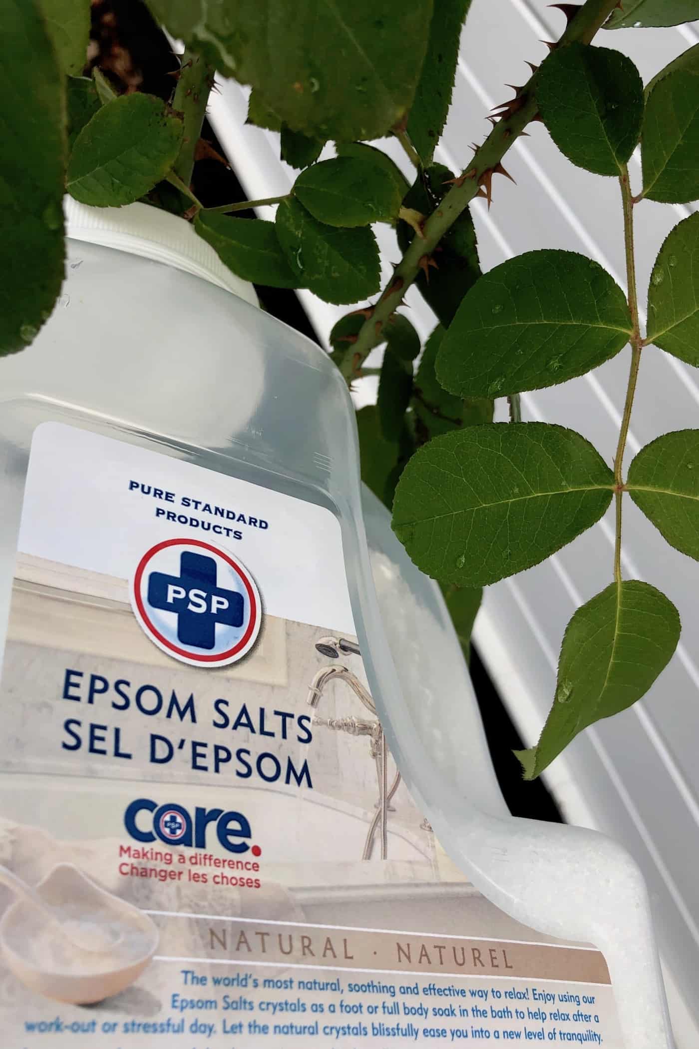 Epsom salt fertilizer for rose plants