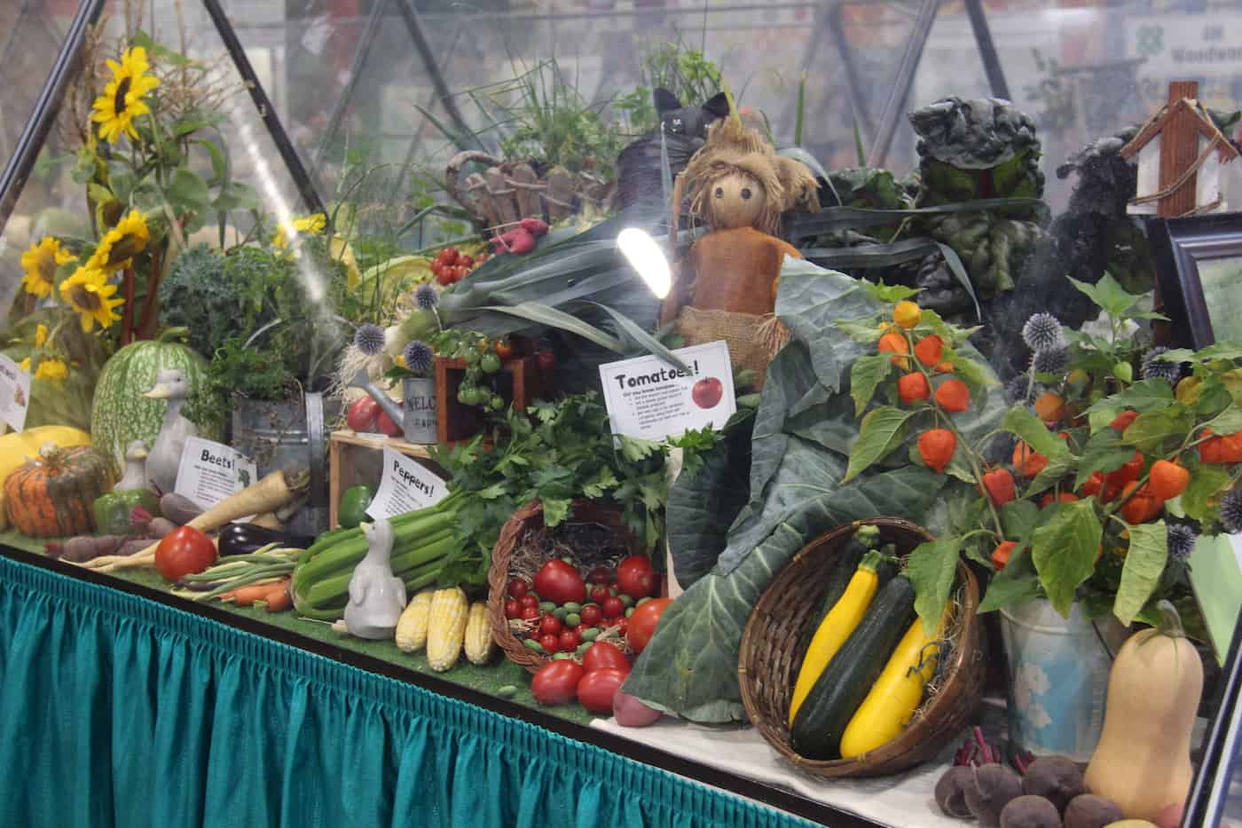Fall fair produce display