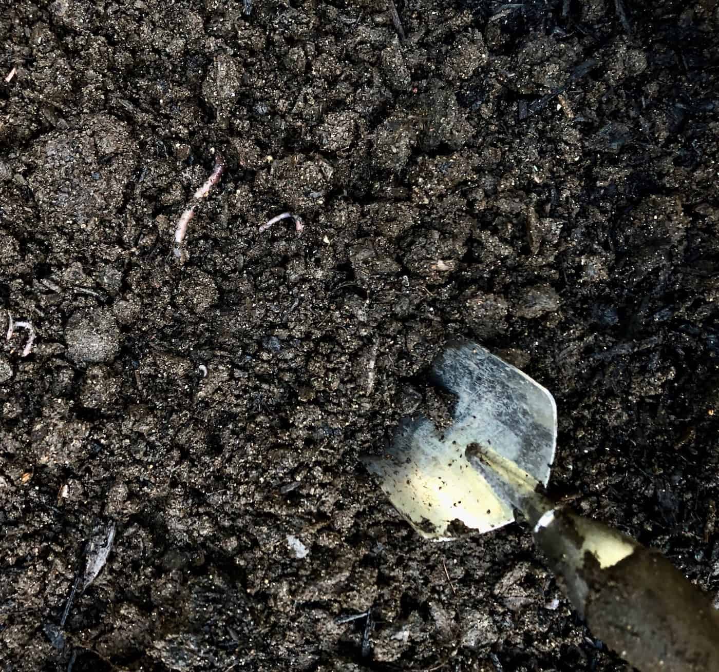 Natural Fertilizer Feeds the Soil Food Web