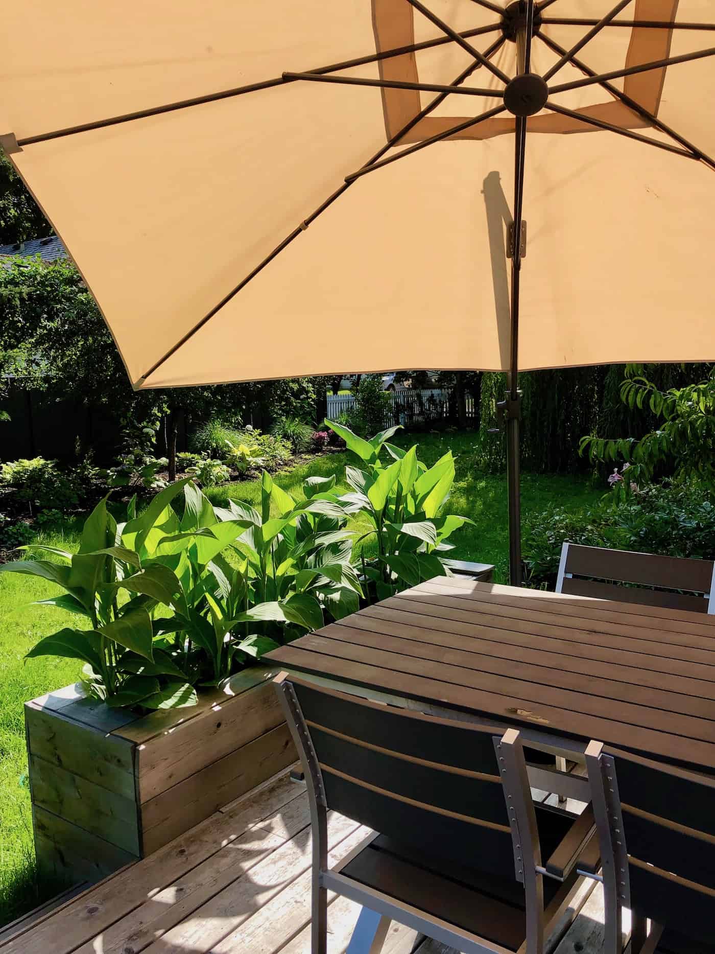 Sun umbrella and patio table on backyard deck