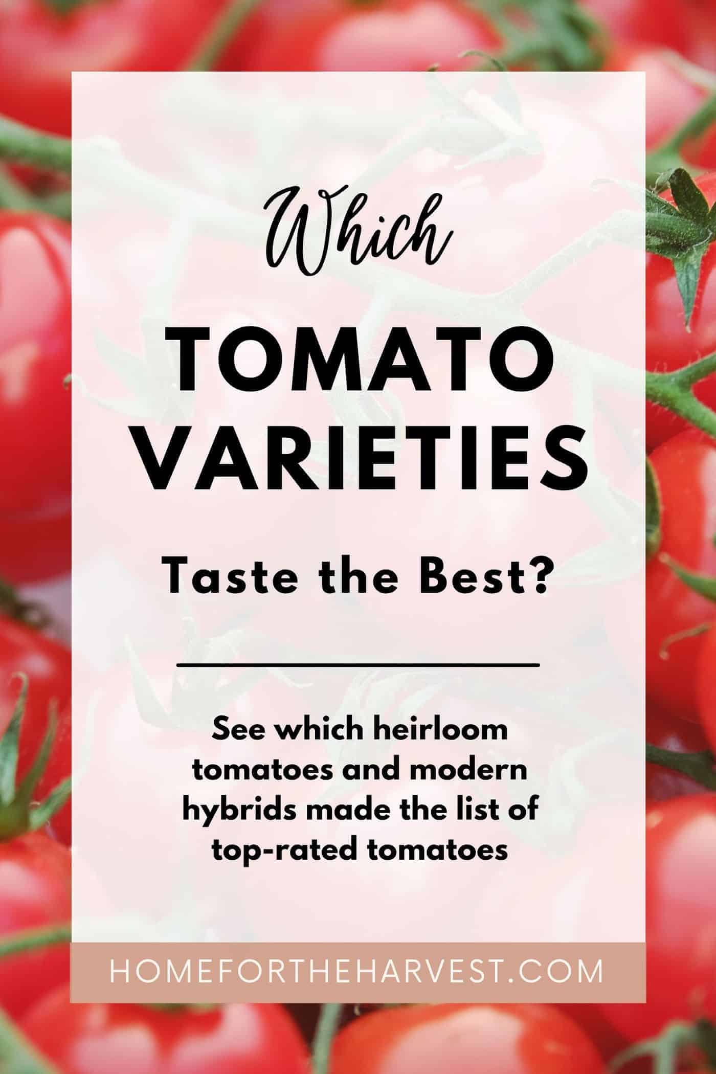 Which tomato varieties taste the best via @home4theharvest