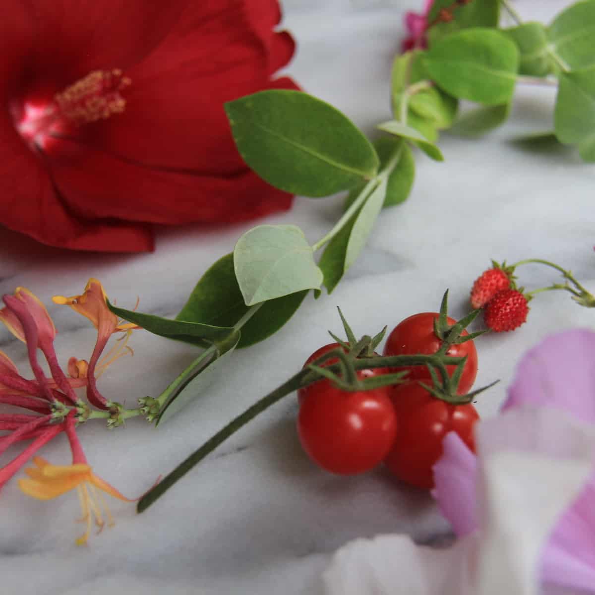 Cherry tomatoes on the vine beside flowers from the garden on marble countertop