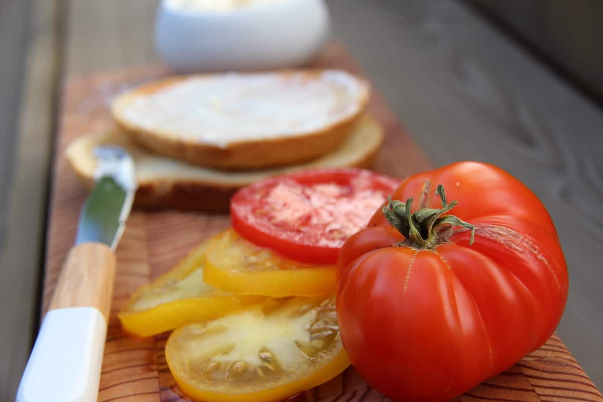 Heirloom tomato with fresh red and yellow tomato slices