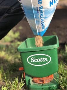 How long for grass seed to germinate? 🌱 ⏰ Unlock the secrets to speedy