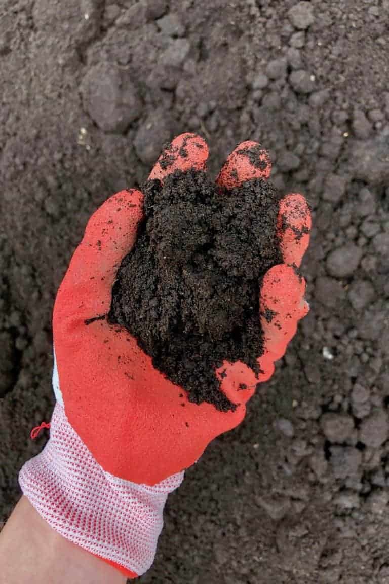 Garden soil testing guide 💚 🔍 Discover how to optimize your plant's growth