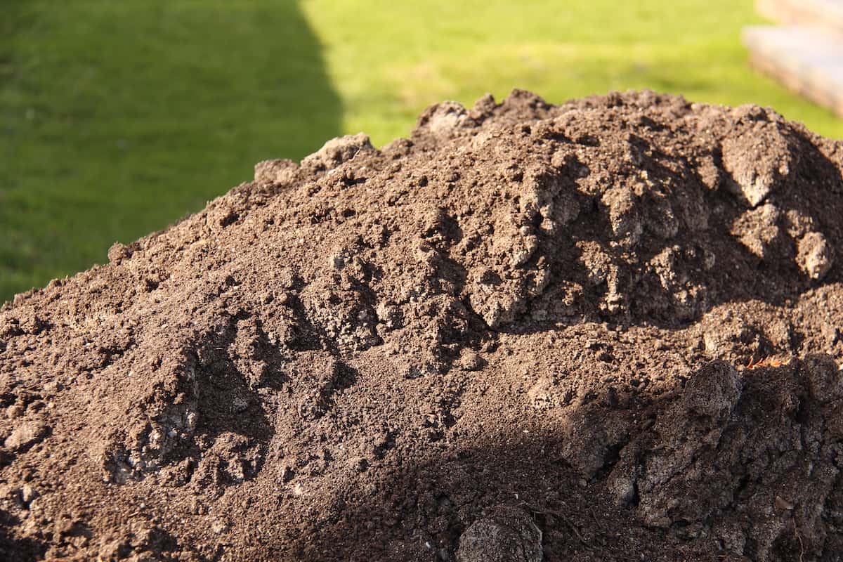Sand for top-dressing lawn soil