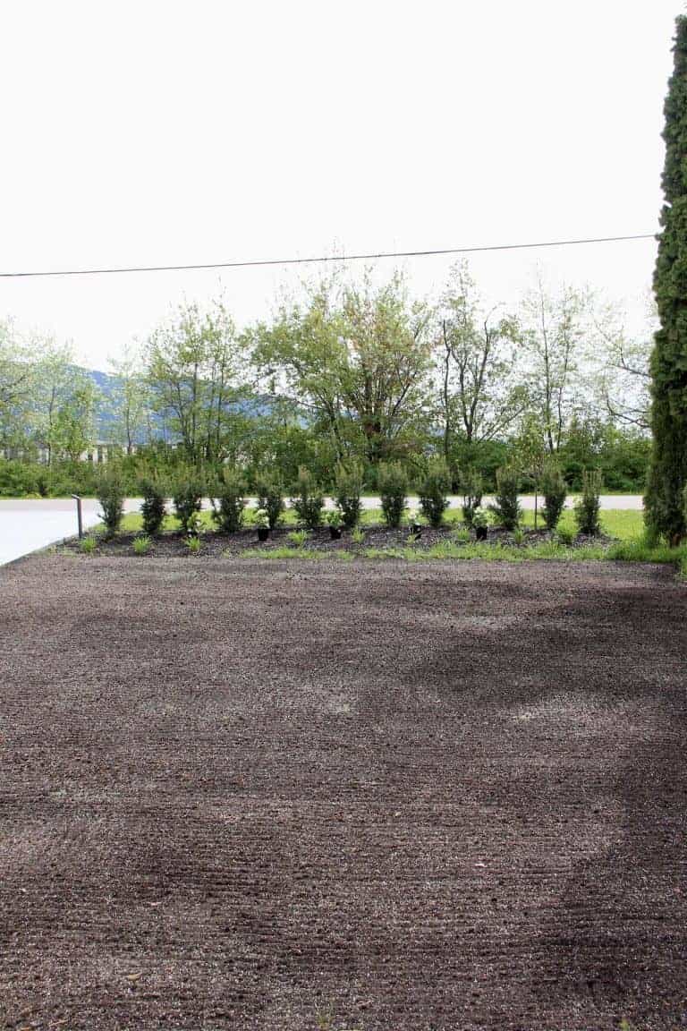 How long for grass seed to germinate? 🌱 ⏰ Unlock the secrets to speedy