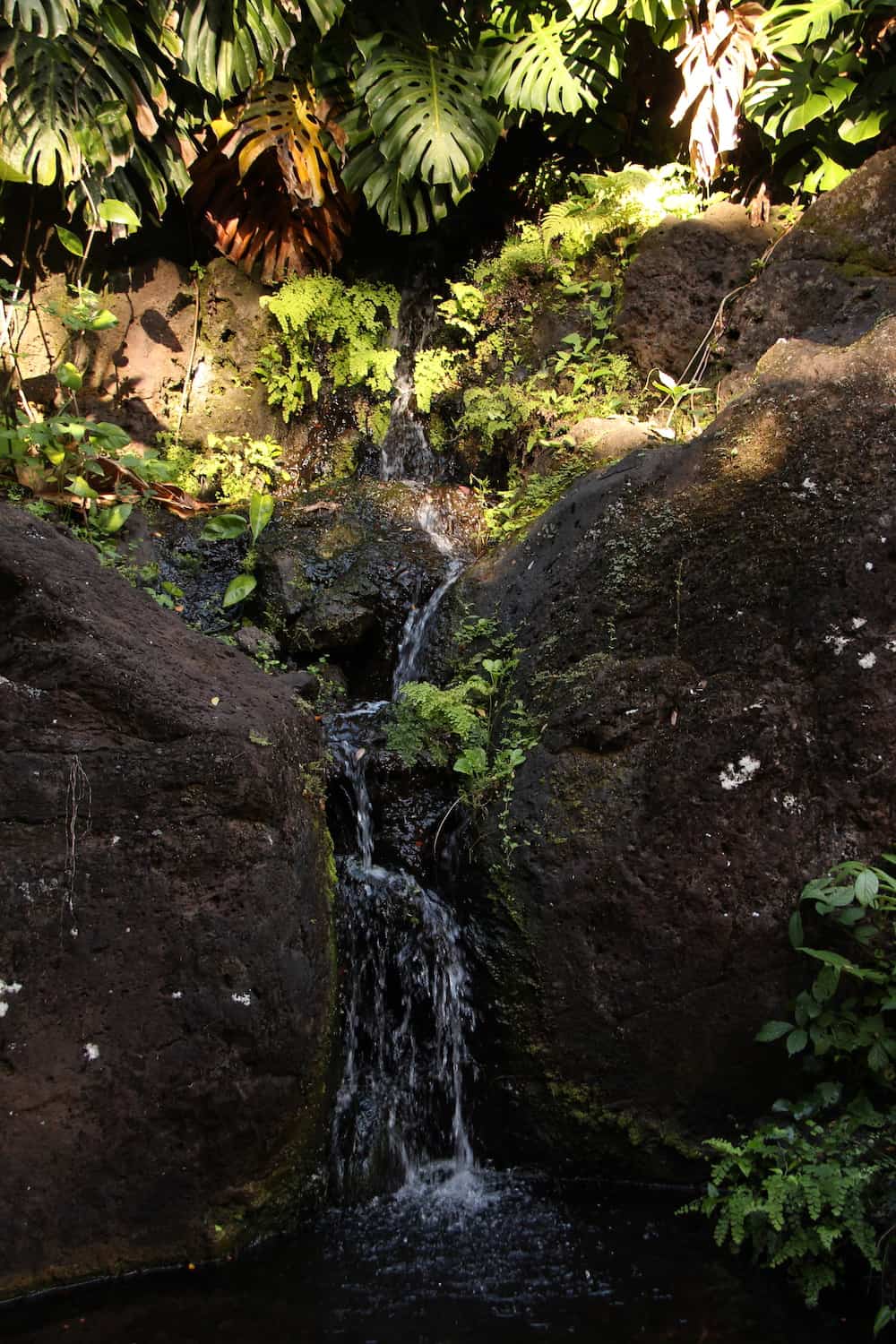 Water dripping down stones in tropical forest
