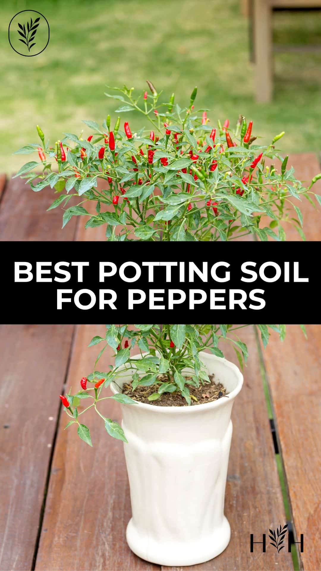 Best potting soil for peppers via @home4theharvest