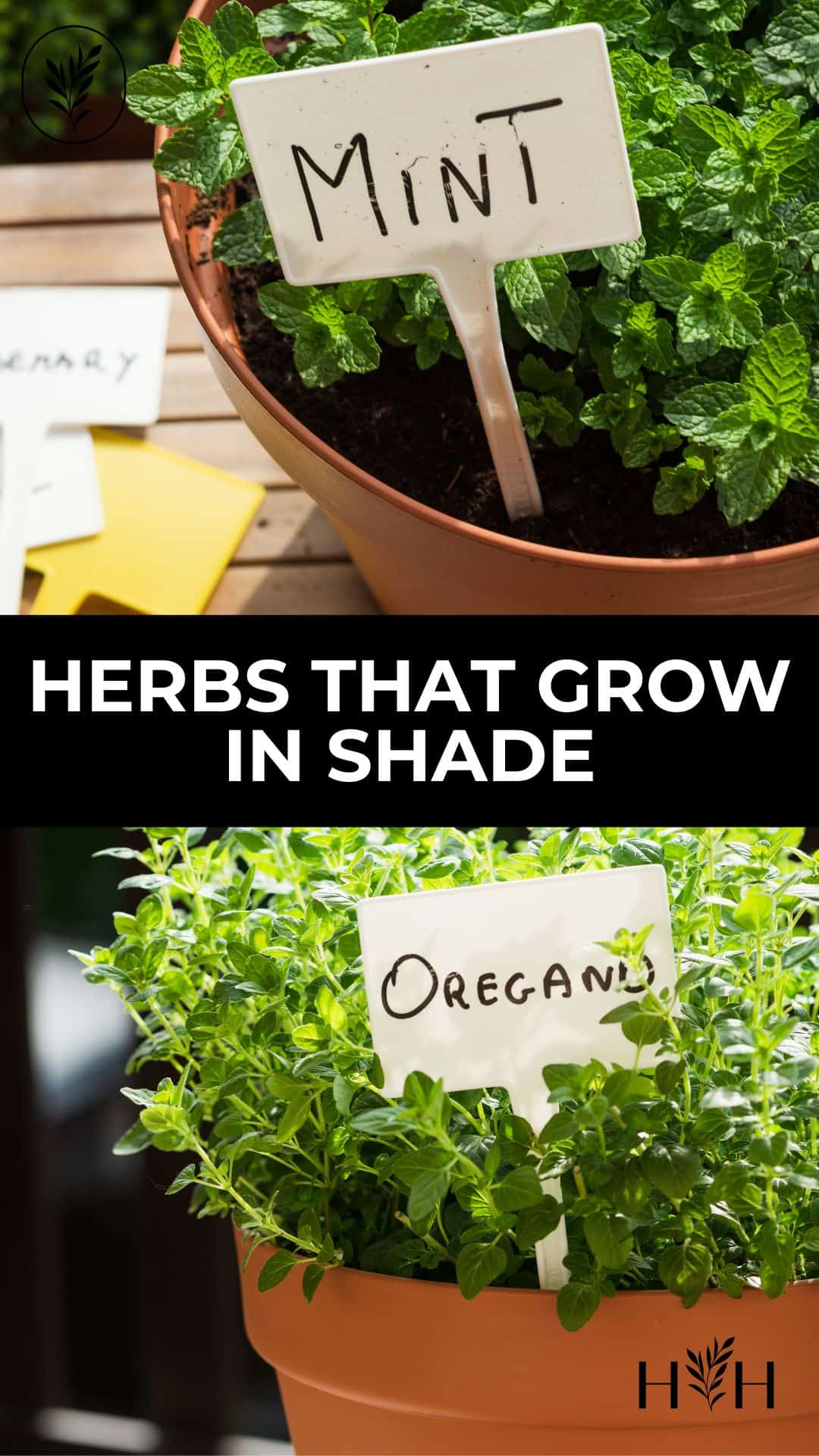 Herbs that grow in shade via @home4theharvest