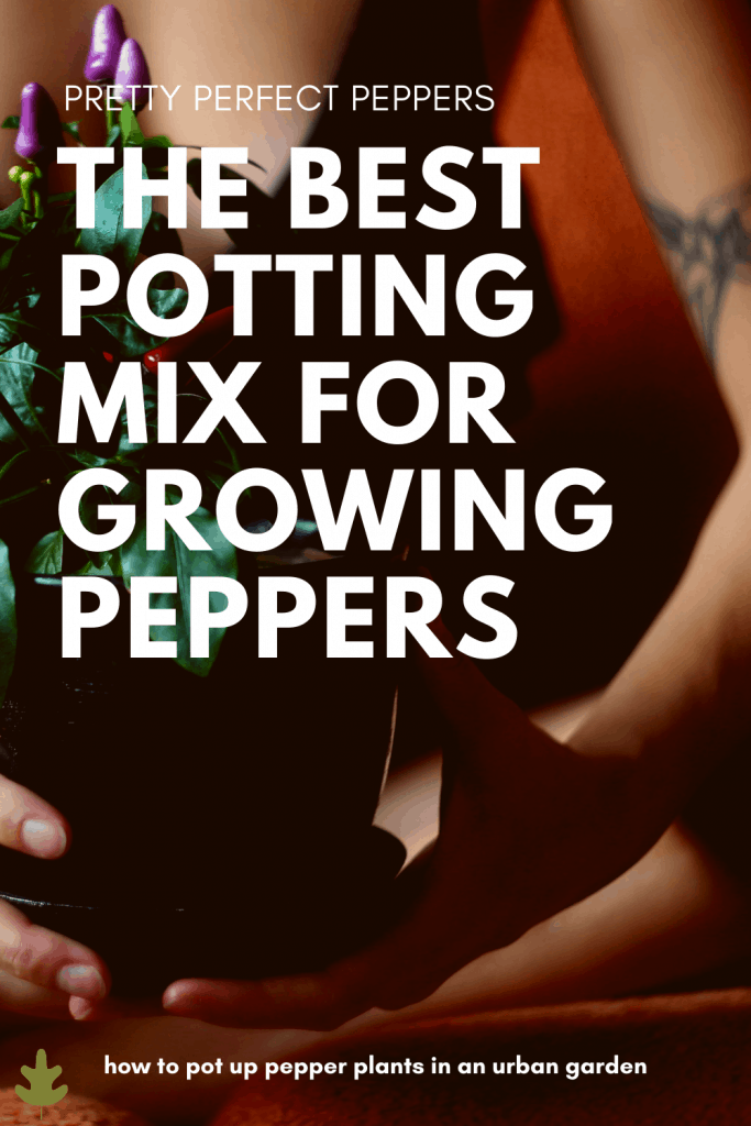 The best potting mix for growing peppers